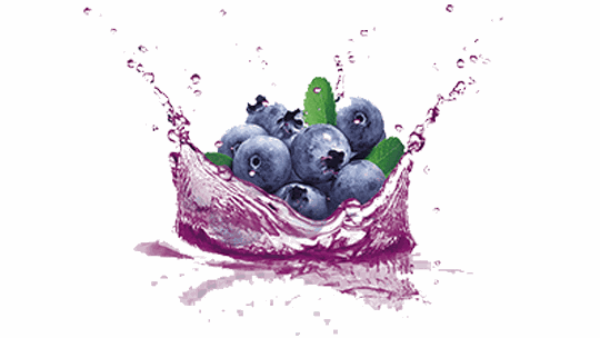 Odoo • Text and Image