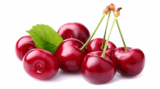 Odoo • Image and Text